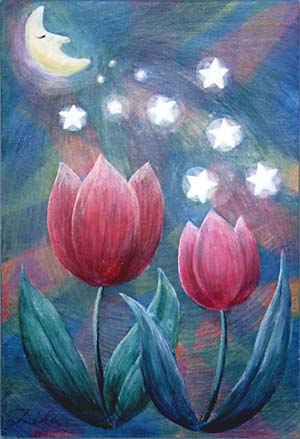 Moon Lit Tulips